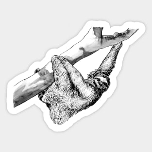 Ink Drawing of Sloth Sticker
